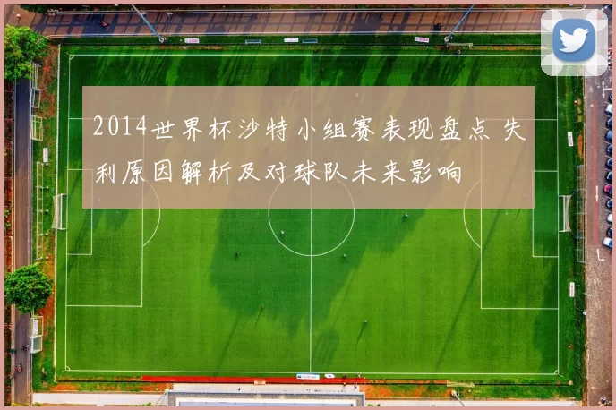 2014世界杯沙特小组赛表现盘点 失利原因解析及对球队未来影响