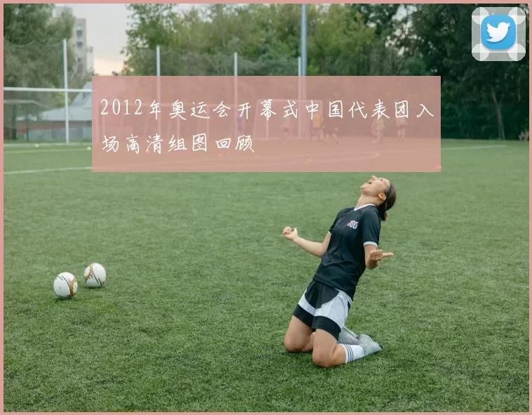 2012年奥运会开幕式中国代表团入场高清组图回顾