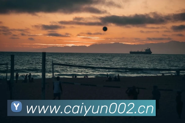 App Interface Preview